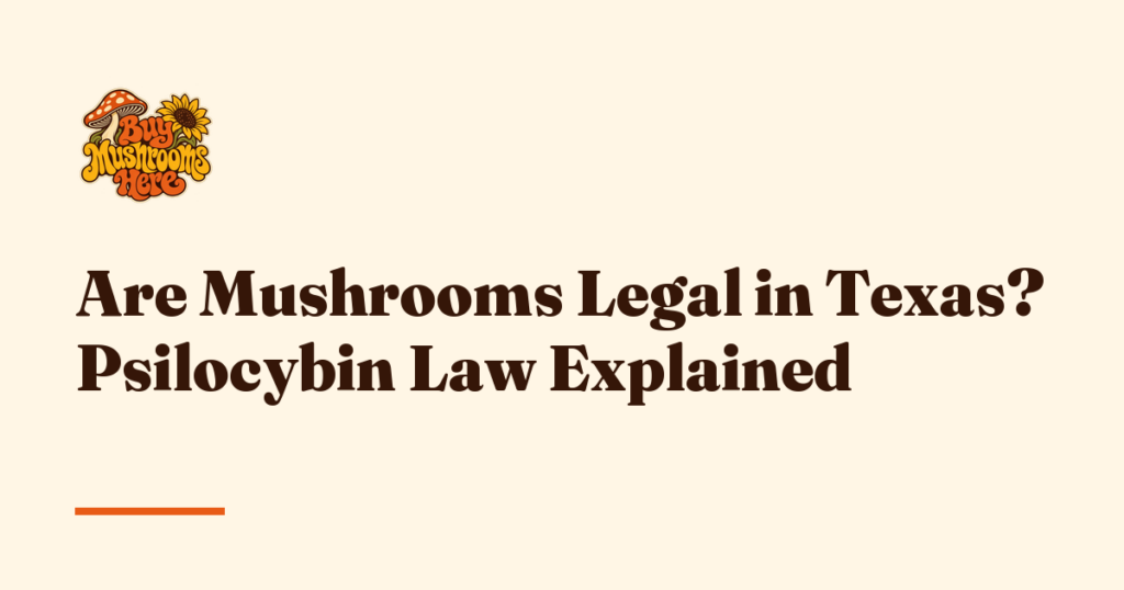 Are Mushrooms Legal in Texas? Psilocybin Law Explained — Buy Mushrooms Here